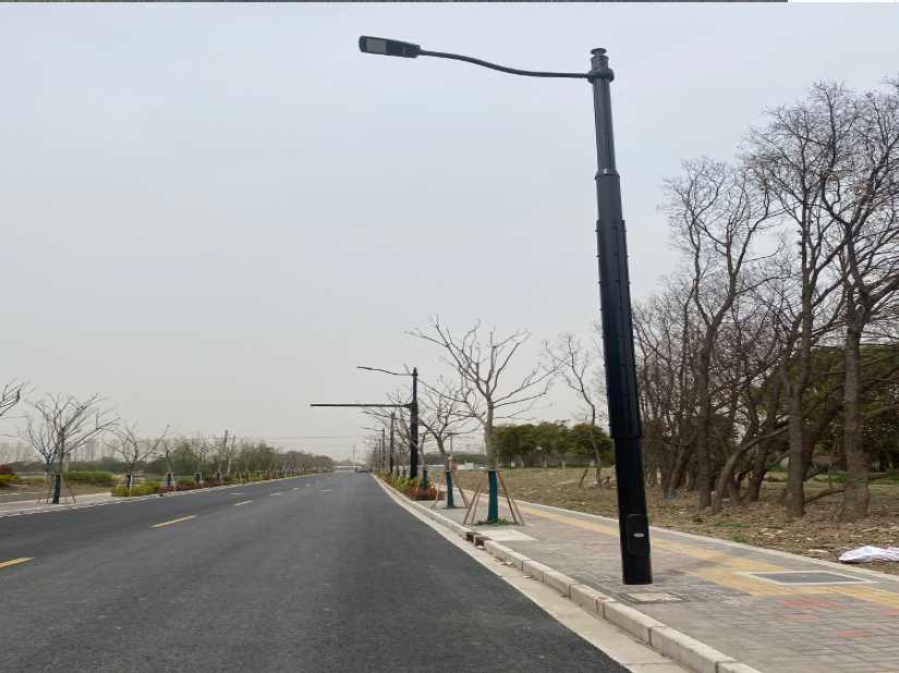 界首市上海综合杆 太阳能路灯工程